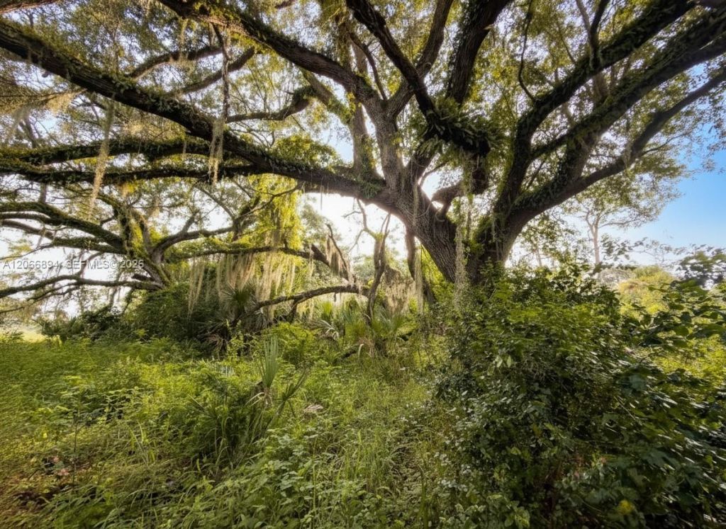 3291 Fort Denaud Rd , La Belle, FL 33935 Photo