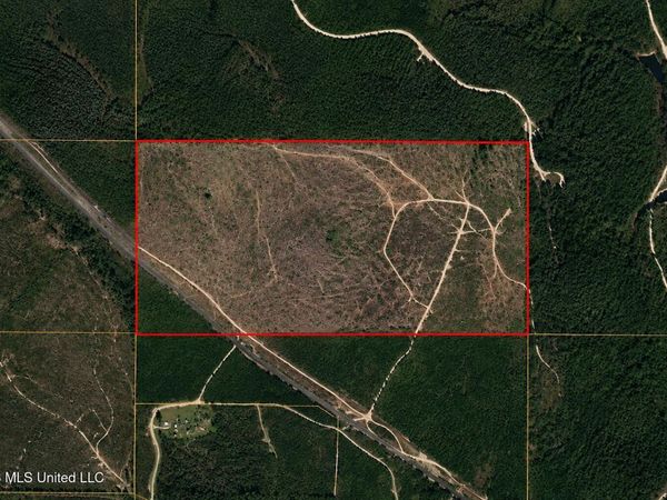 80 Acres Off Of Farmer Drive, Richton, MS 39476