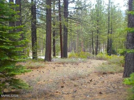 1389 Pioneer Trail, South Lake Tahoe, CA 96150 Photo