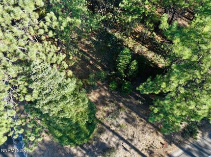 1389 Pioneer Trail, South Lake Tahoe, CA 96150 Photo