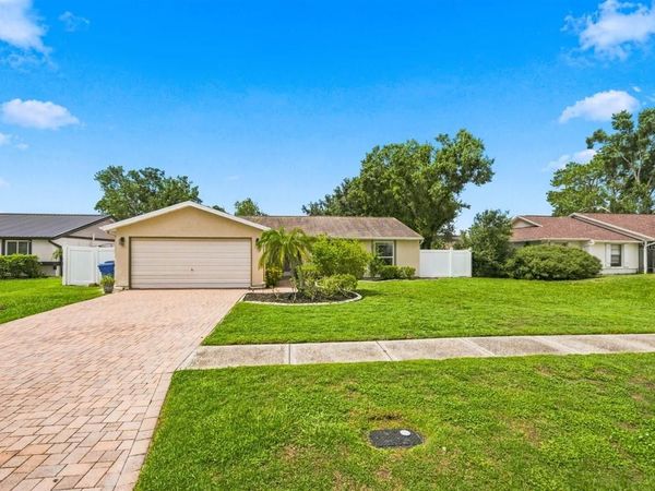 5309 BLACK PINE DRIVE , TAMPA, FL 33624