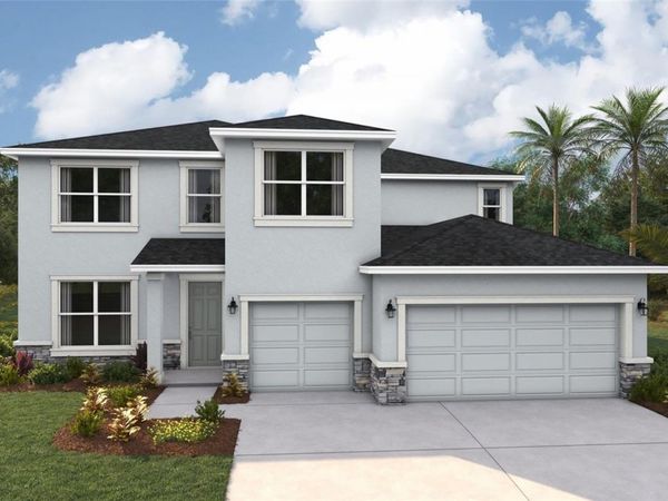 10436 WOODLAND GARDEN WAY , PARRISH, FL 34219