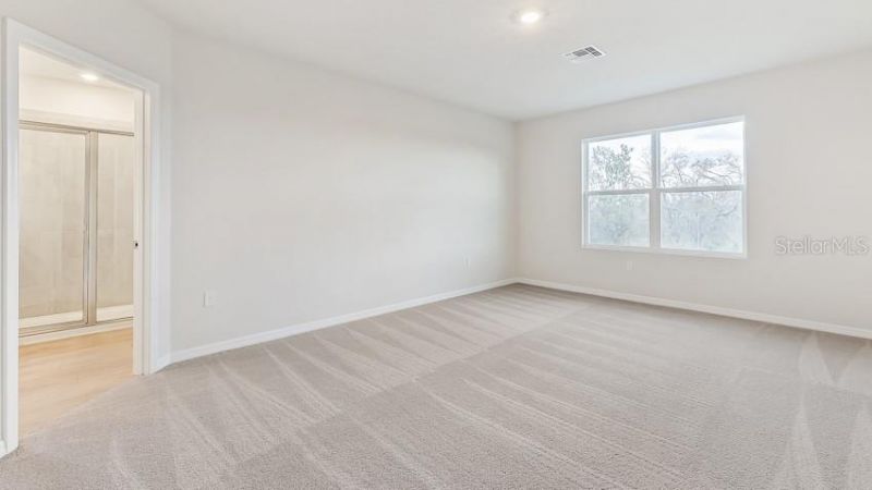 10436 Woodland Garden Way, Parrish, FL 34219 Photo