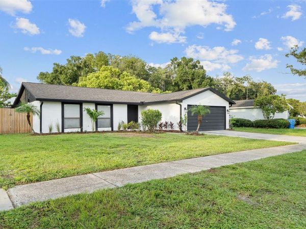 5308 BLACK PINE DRIVE , TAMPA, FL 33624