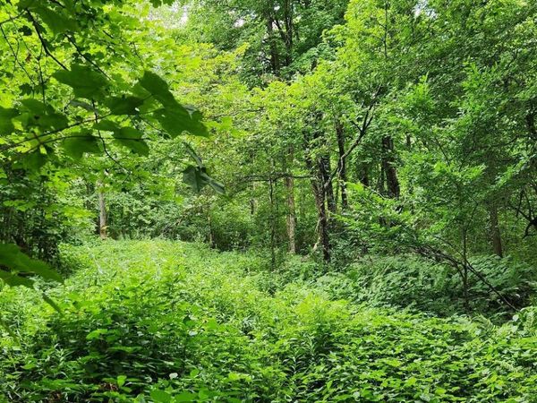 On DIETSCH ROAD, Athens, WI 54411