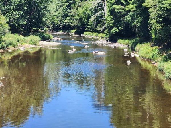 On DIETSCH ROAD, Athens, WI 54411