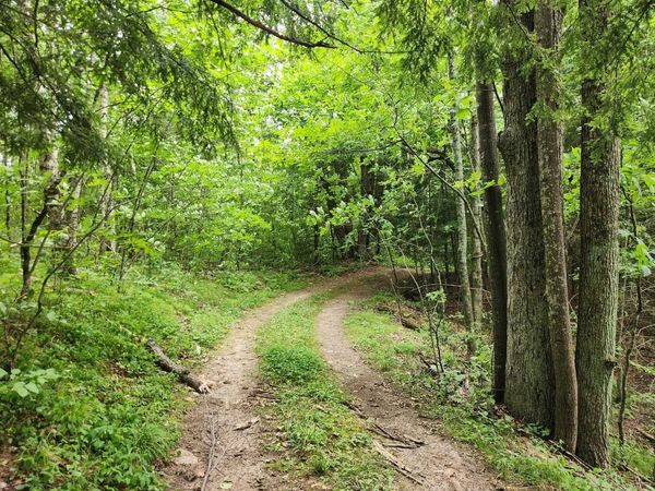 On YENTER LANE, Wittenberg, WI 54499