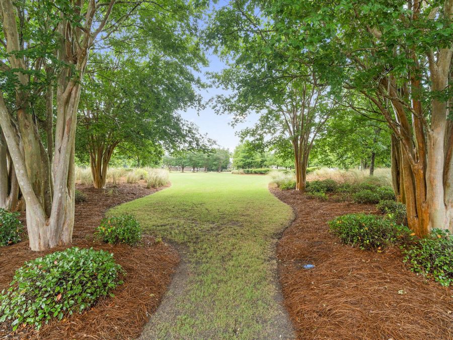 Property Image 75