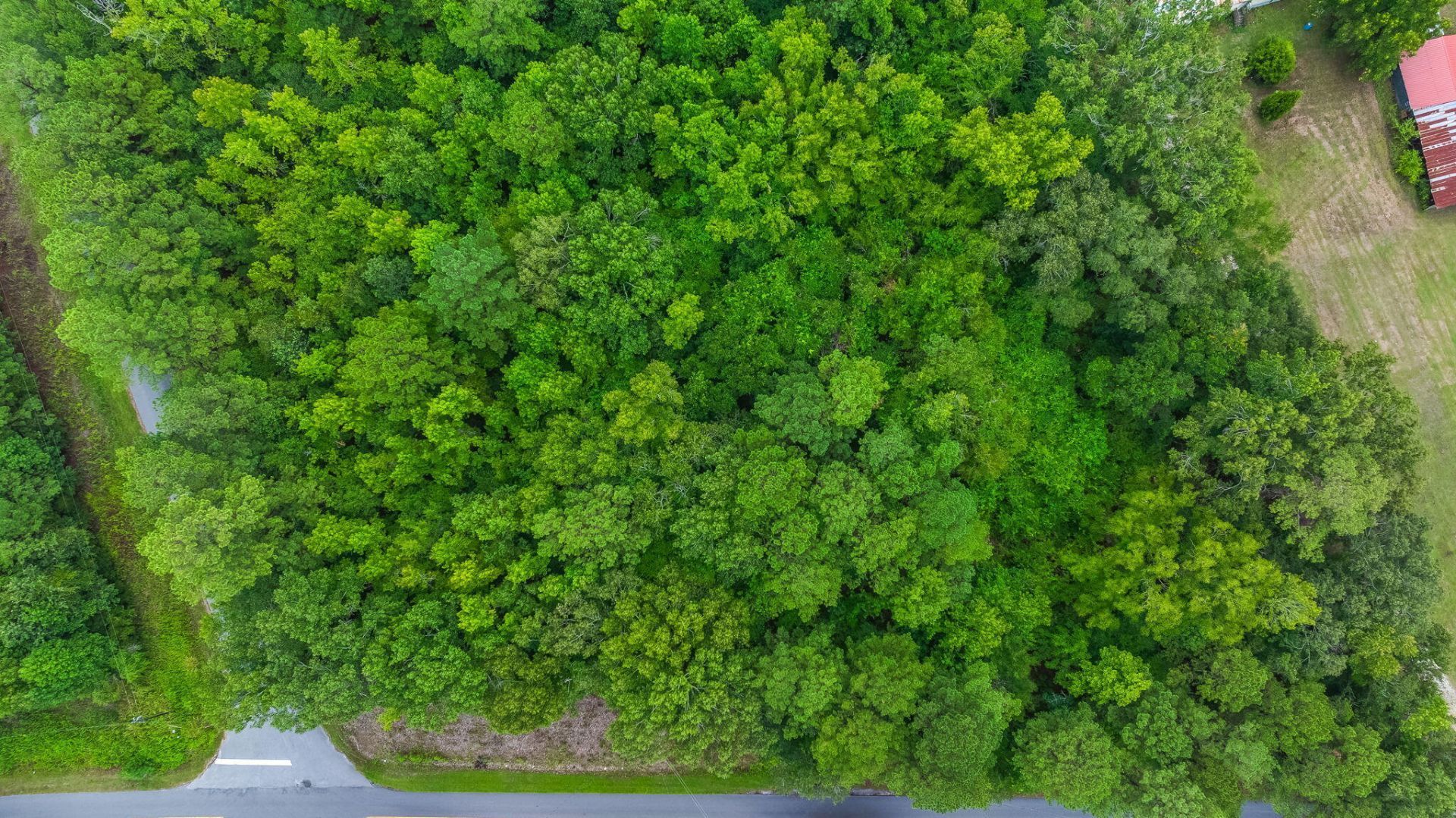 0 Old Cherry Hill Road Photo 12