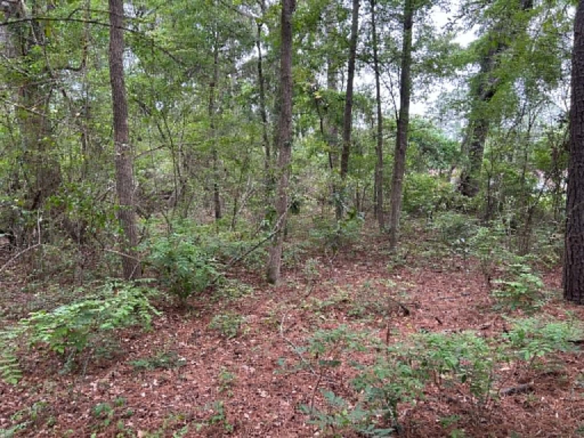 0 Old Cherry Hill Road Photo 6