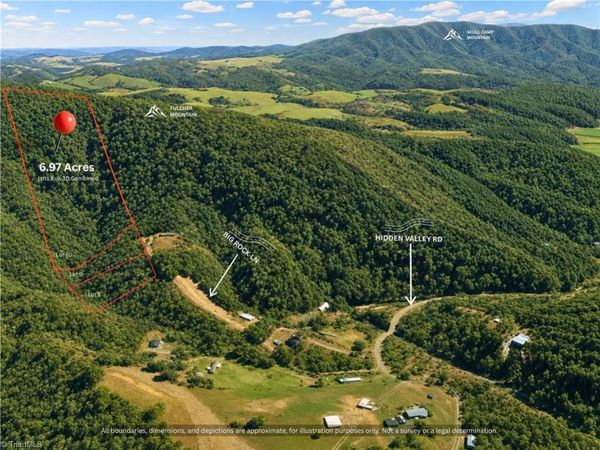 000-000 Big Rock Lane , Unit Lots 8, 9 , Lowgap, NC 27024