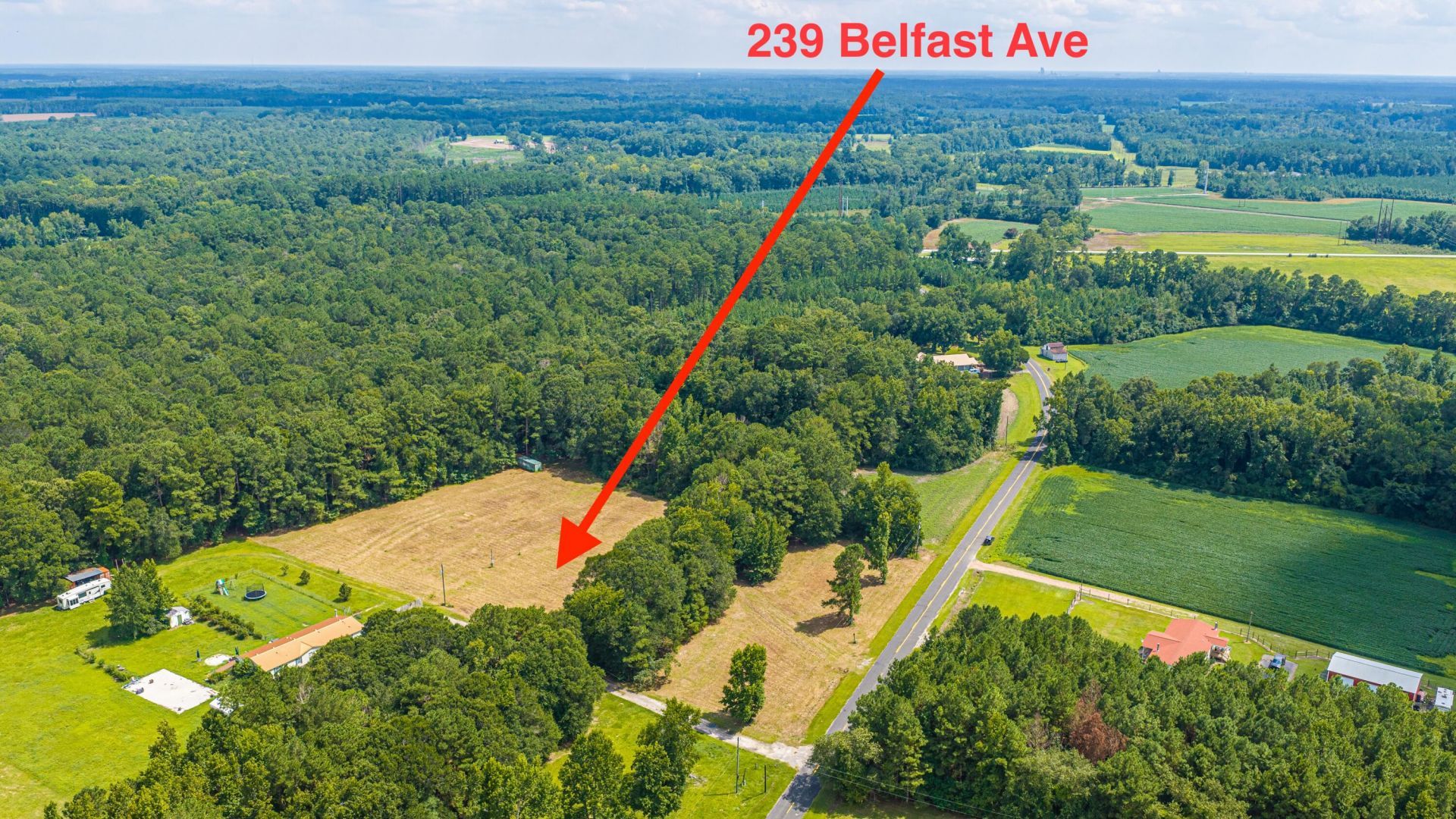 239 Belfast Avenue Photo 60