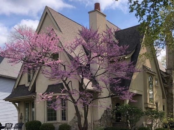 706 N Ellsworth Street , Naperville, IL 60563