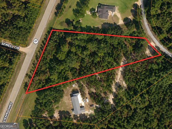 2.7 ACRES Flamingo Estate, Hawkinsville, GA 31036