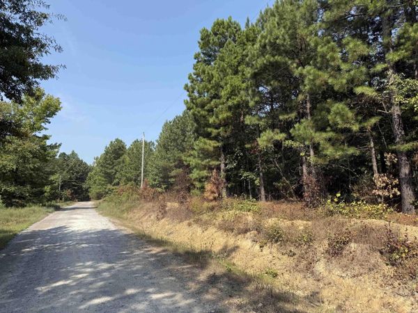 282 FABRE Place, Bonnerdale, AR 71933