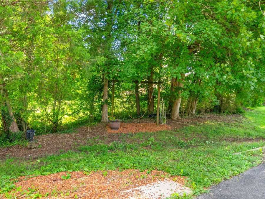 Property Image 74