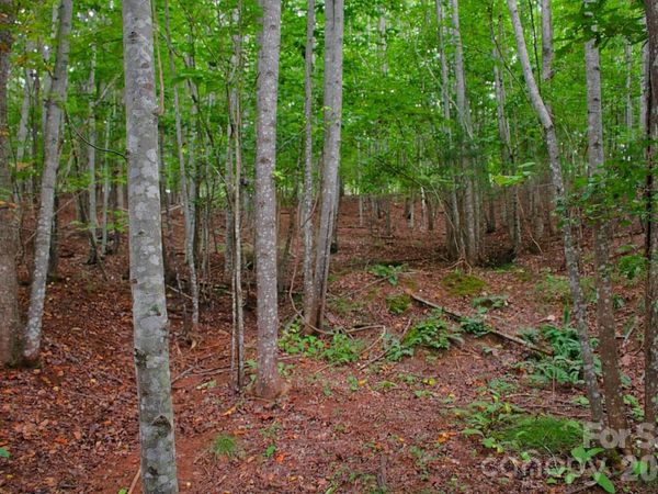 0 Creekside Circle , Rutherfordton, NC 28139
