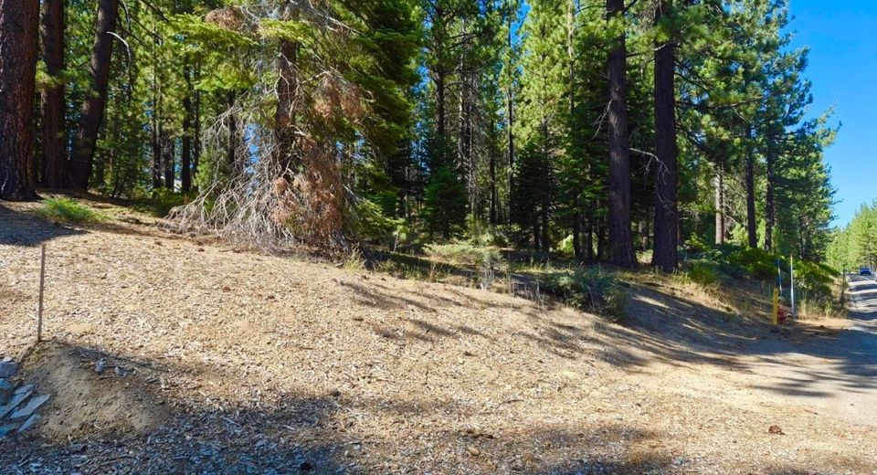 1389 Pioneer Trail, South Lake Tahoe, CA 96150 Photo