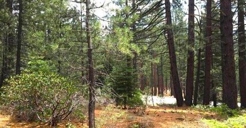 1389 Pioneer Trail, South Lake Tahoe, CA 96150 Photo