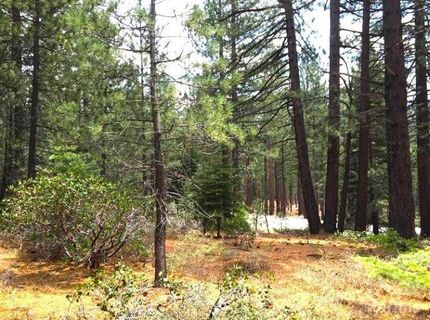 1389 Pioneer Trail, South Lake Tahoe, CA 96150 Photo