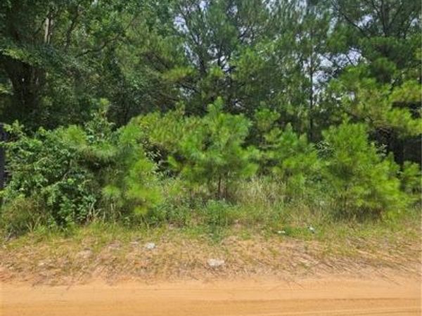 6930 Spice Pond Drive , Eight Mile, AL 36613
