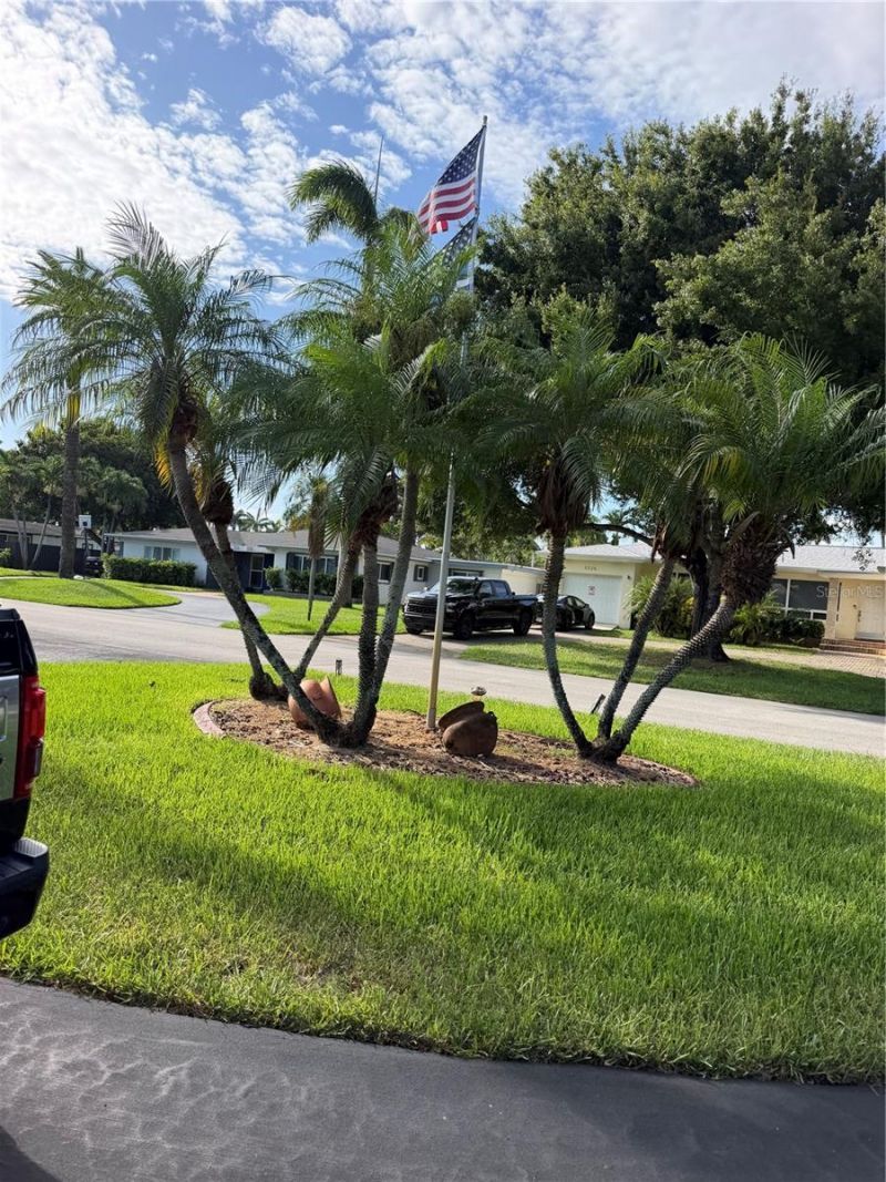 3230 Harrison Street, Hollywood, FL 33021 Photo