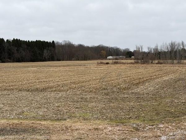 VL N Branch Road , Deerfield Township, Mi 48461