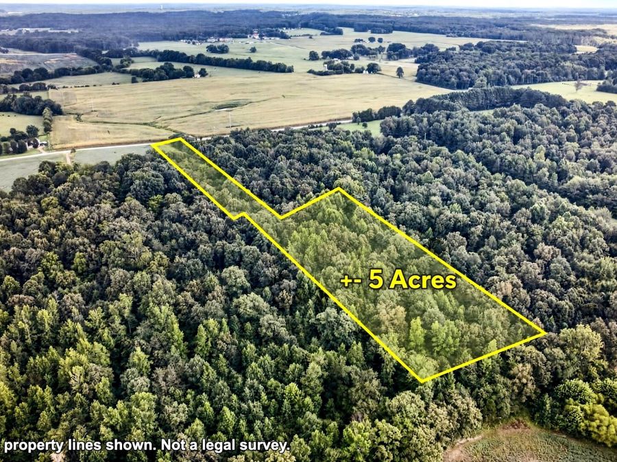 Property Image 6