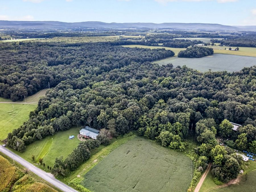 Property Image 7