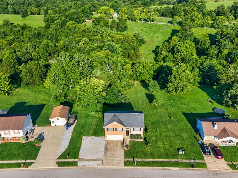 165 Ambassador Drive, Dry Ridge, KY 41035 Photo 29