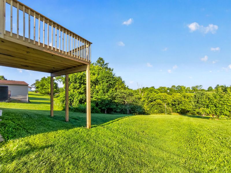 165 Ambassador Drive, Dry Ridge, KY 41035 Photo 3