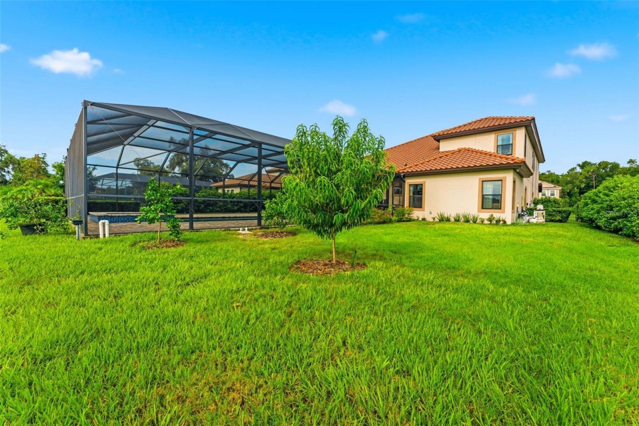 10370 Meadowrun Drive, Lithia, FL 33547 Photo