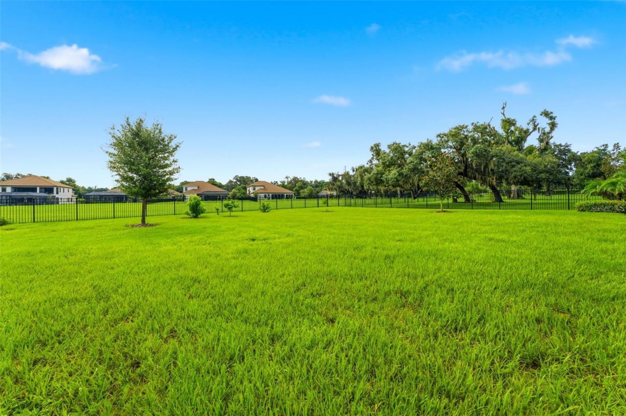 10370 Meadowrun Drive, Lithia, FL 33547 Photo