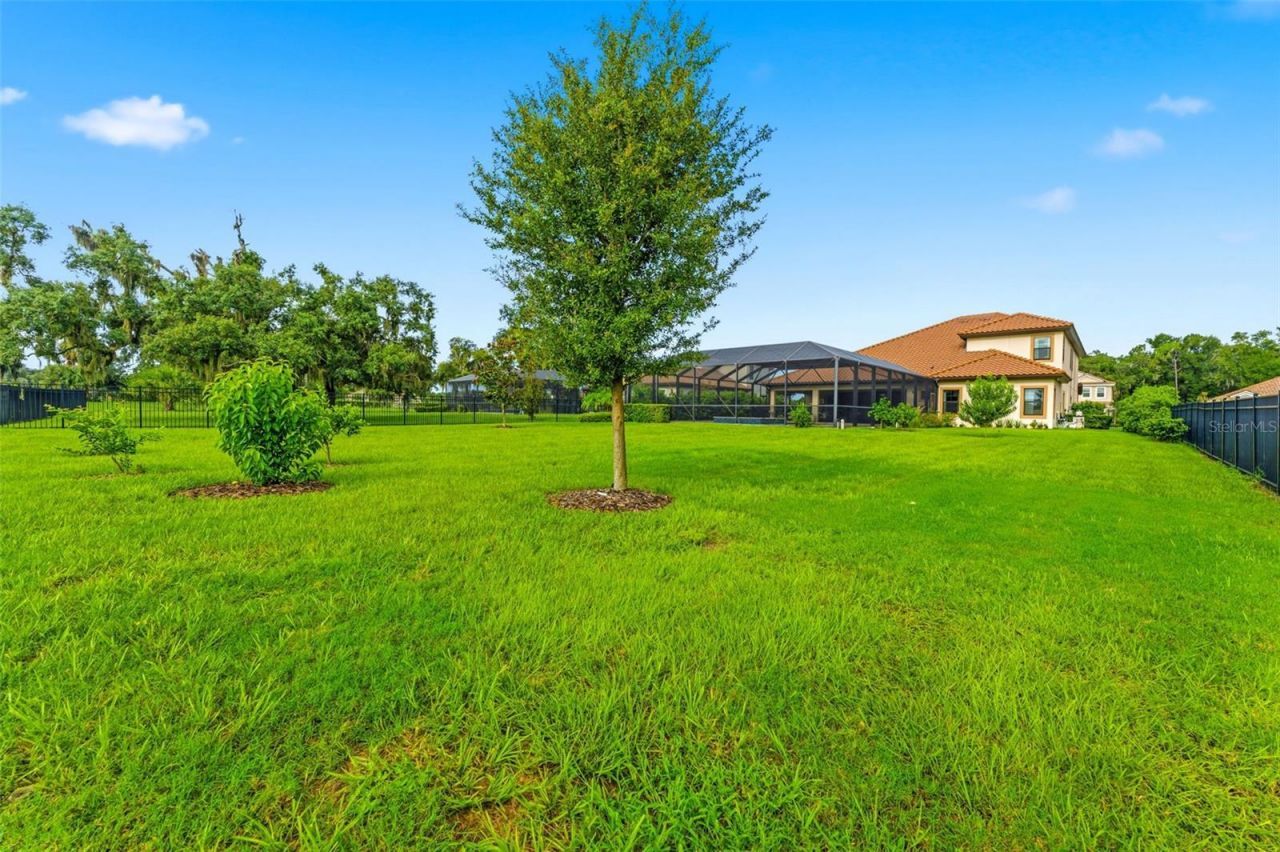 10370 Meadowrun Drive, Lithia, FL 33547 Photo