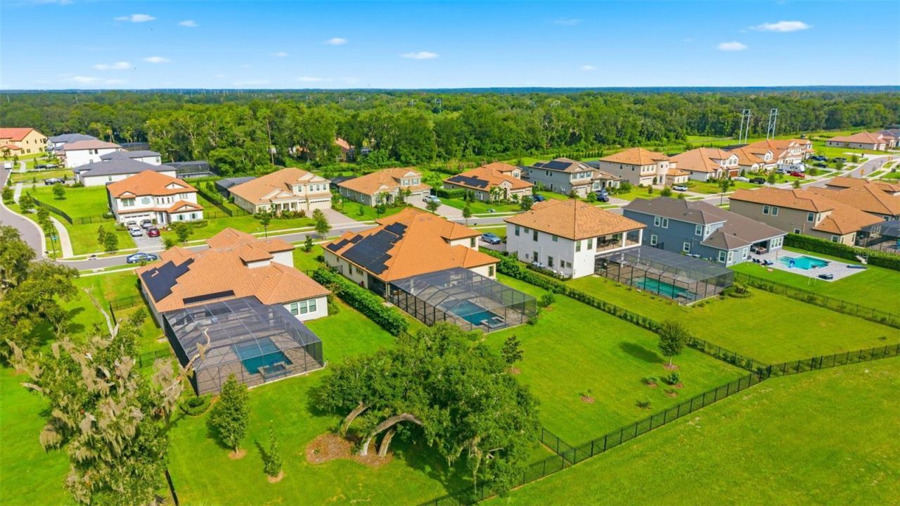 10370 Meadowrun Drive, Lithia, FL 33547 Photo