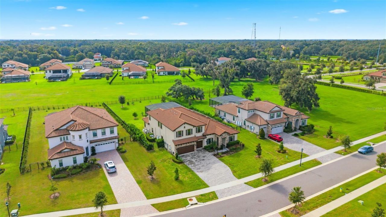 10370 Meadowrun Drive, Lithia, FL 33547 Photo