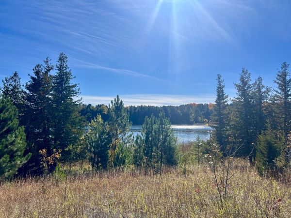 Lot 34 M-32, Atlanta, MI 49709