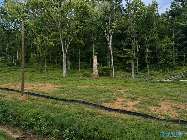 Lot 3 County Road 114, Scottsboro, AL 35769