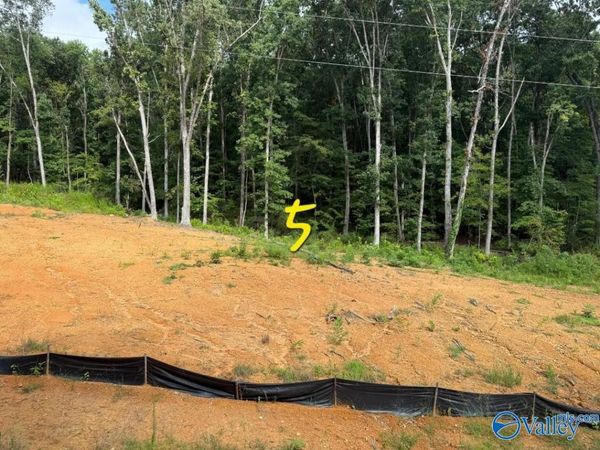 Lot 5 County Road 114, Scottsboro, AL 35769