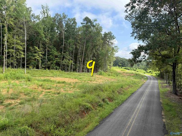 lot 9 County Road 114, Scottsboro, AL 35769