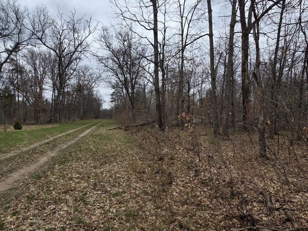 V/L W Mead Street, Baldwin, MI 49304