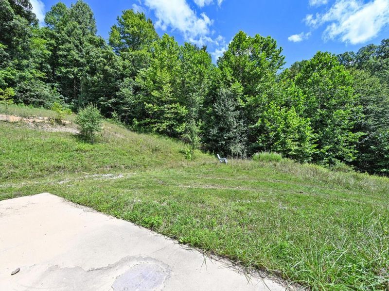 1890 Hall Fork Road, Jefferson Twp, OH 45616 Photo 26