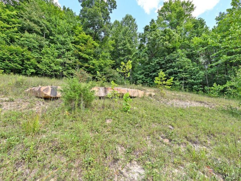 1890 Hall Fork Road, Jefferson Twp, OH 45616 Photo 30
