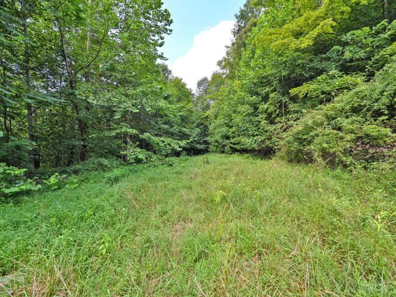 1890 Hall Fork Road, Jefferson Twp, OH 45616 Photo 32