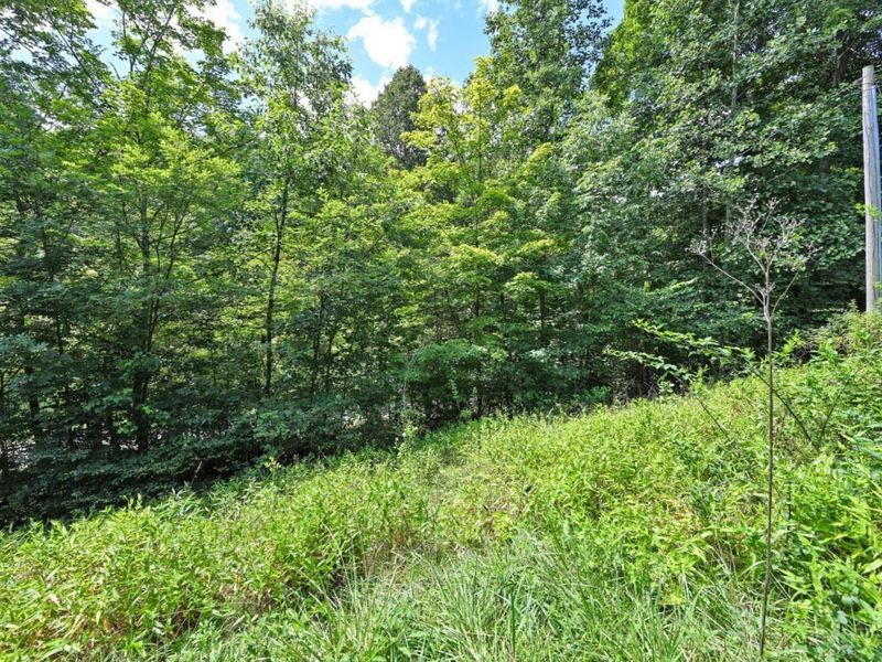 1890 Hall Fork Road, Jefferson Twp, OH 45616 Photo 33