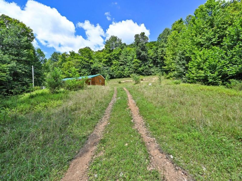 1890 Hall Fork Road, Jefferson Twp, OH 45616 Photo 37