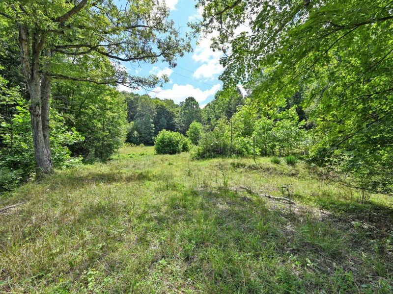 1890 Hall Fork Road, Jefferson Twp, OH 45616 Photo 39