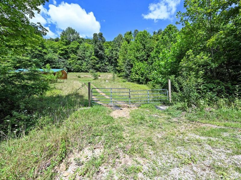 1890 Hall Fork Road, Jefferson Twp, OH 45616 Photo 40