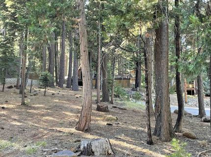 529 Spruce Circle, Lake Almanor, CA 96137 Photo