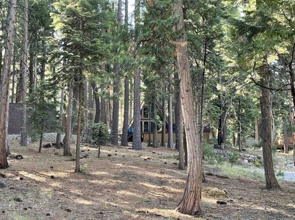 529 Spruce Circle, Lake Almanor, CA 96137 Photo